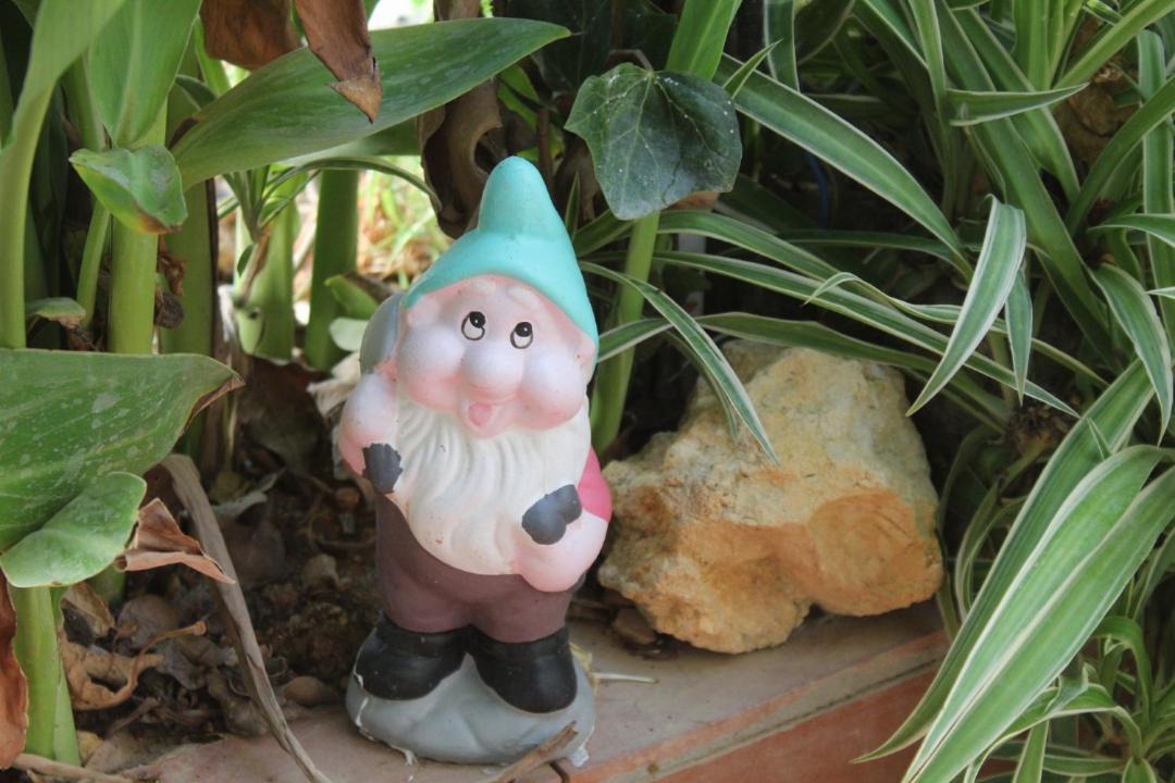 Photo of Others in Porches