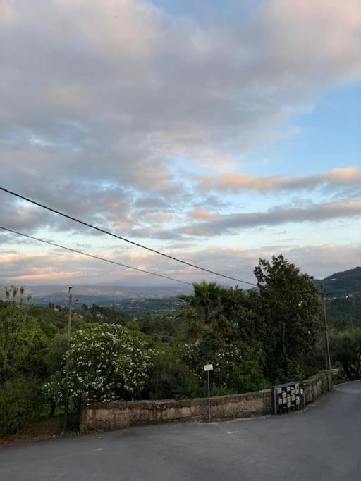 Photo of Others in Molares