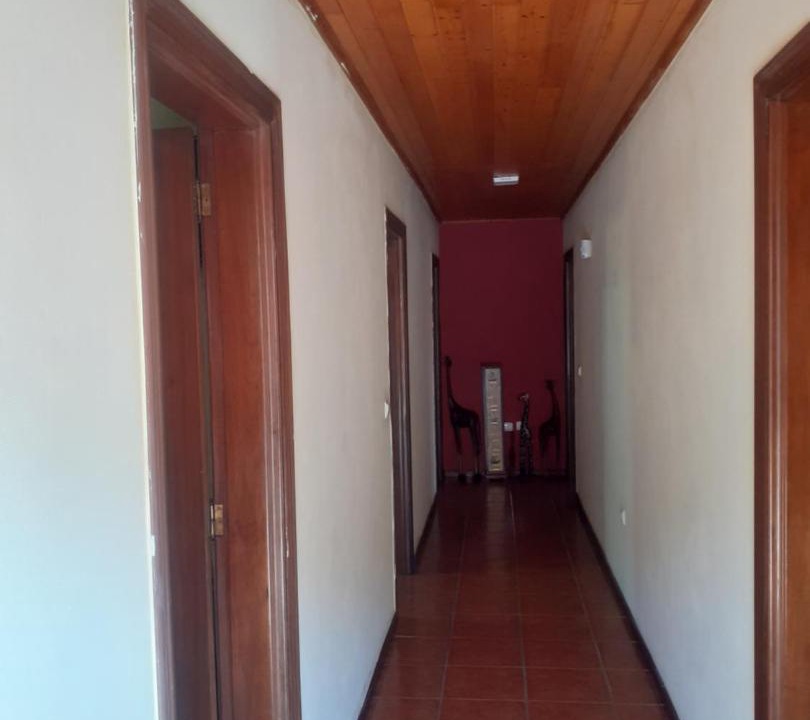 Photo of Others in Cova