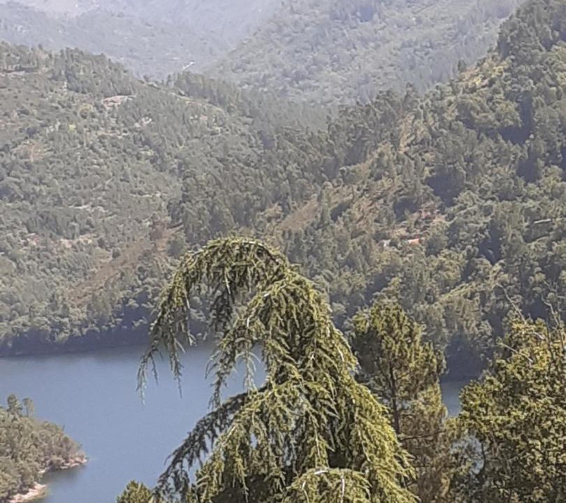 Photo of Others in Cova