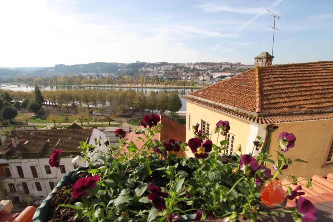 Photo of Others in Coimbra City Centre