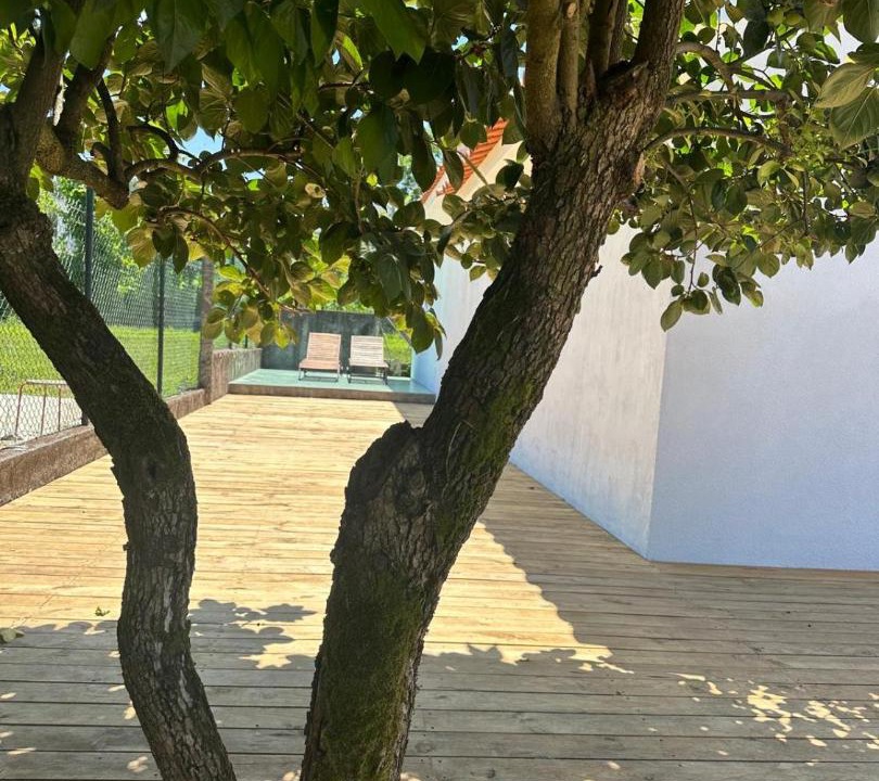 Photo of Others in Guimaraes