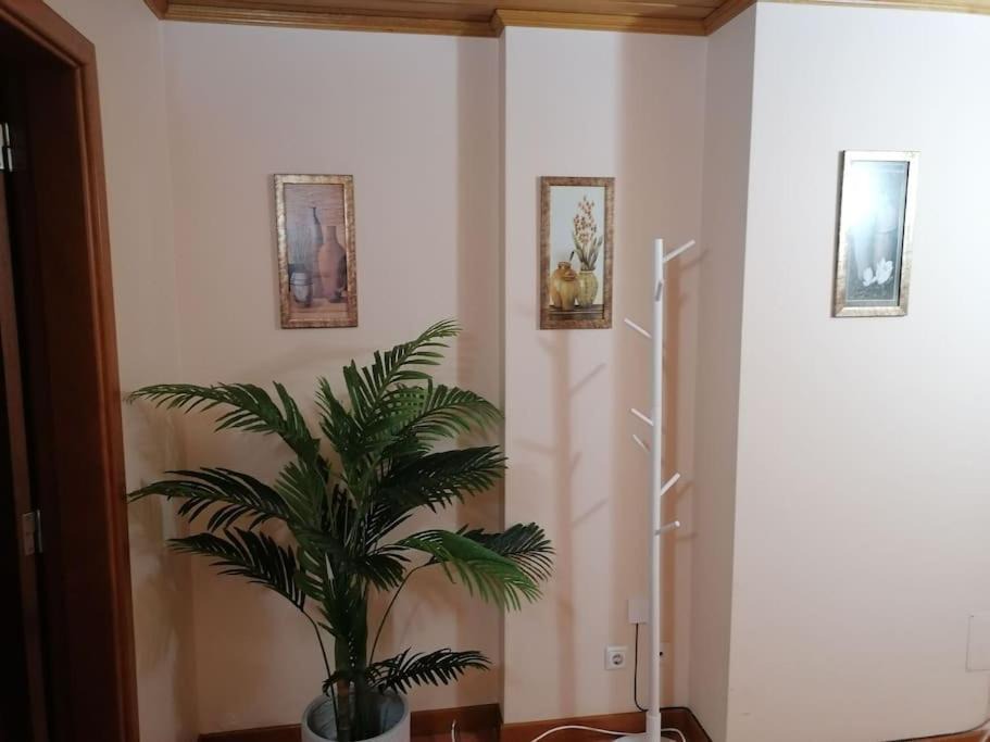 Photo of Livingroom in Praia de Mira