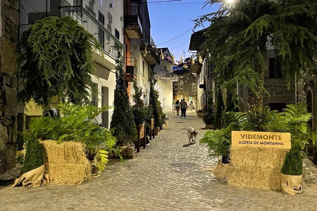 Photo of Others in Videmonte