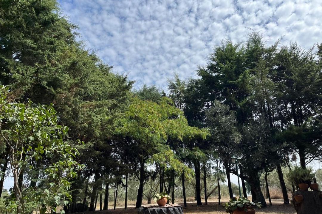 Photo of Others in Celorico da Beira