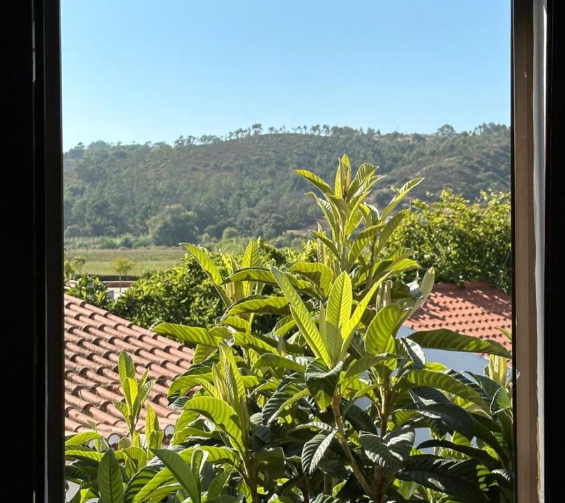 Photo of Others in Odeceixe