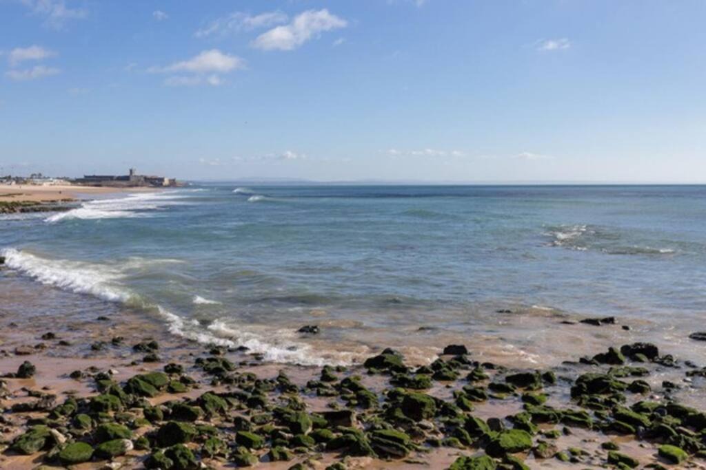 Photo of Others in Carcavelos