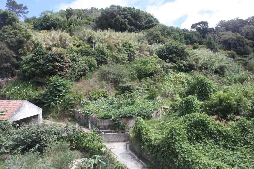 Photo of Others in Monserrate