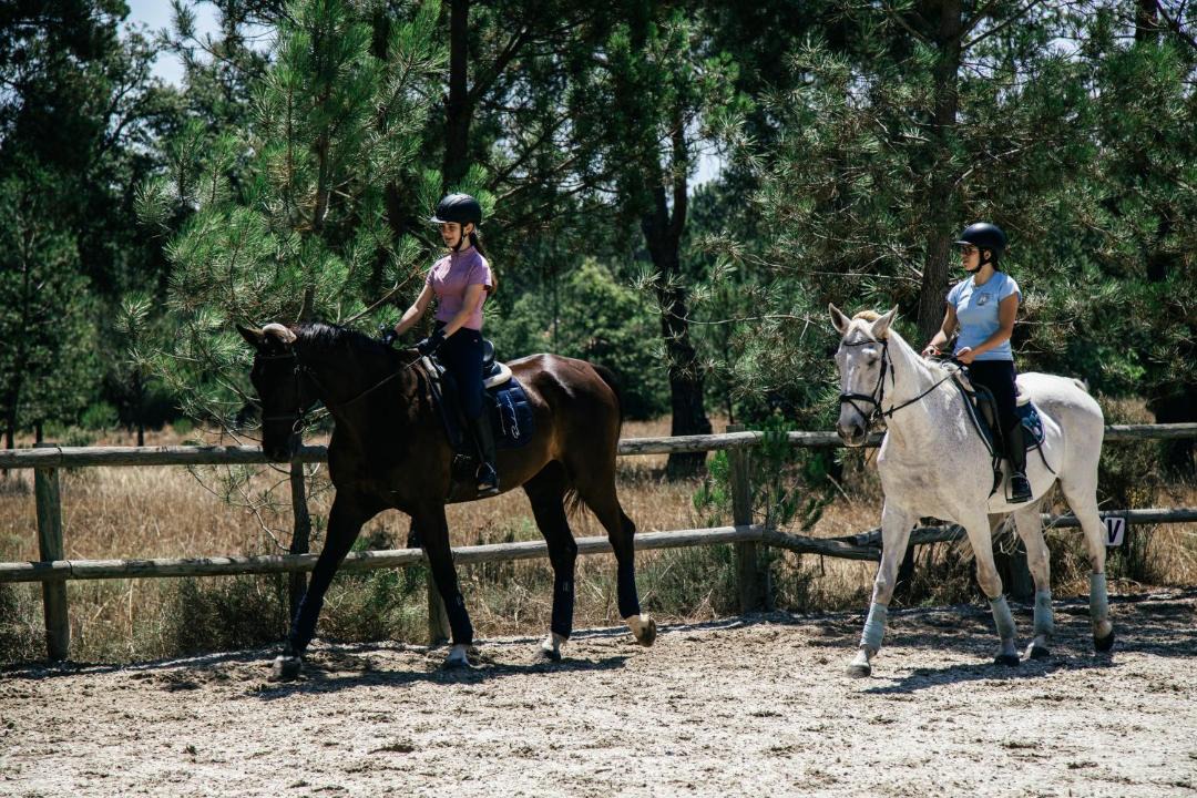 Photo of Others in Santa Maria do Castelo
