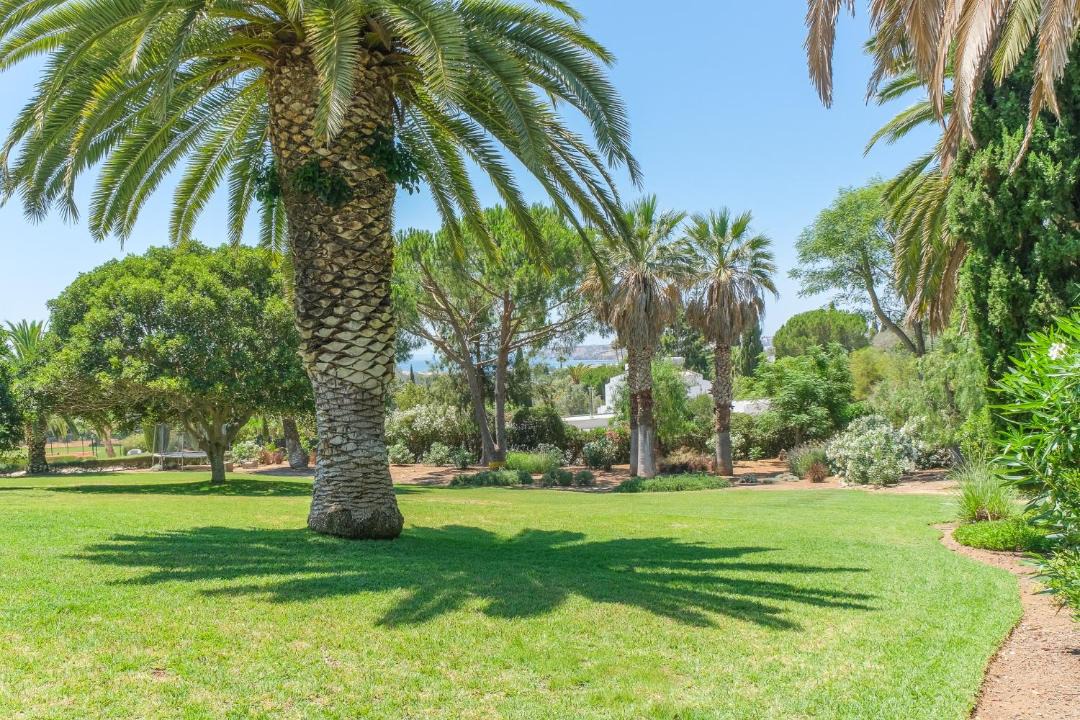 Photo of Outdoor in Meia Praia