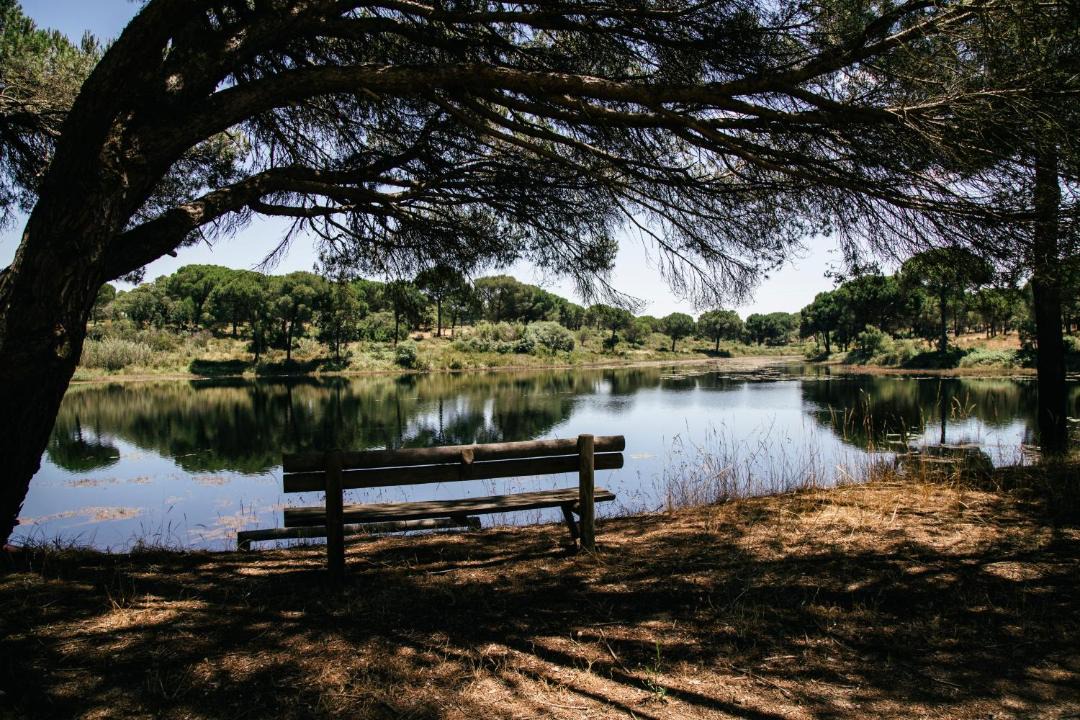 Photo of Others in Santa Maria do Castelo