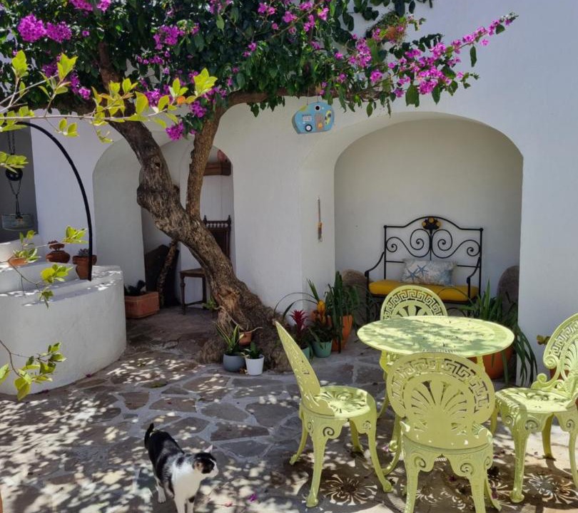 Photo of Others in Sines