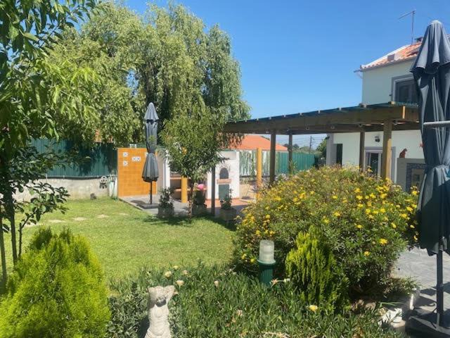 Photo of Others in Setubal