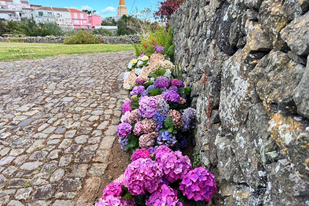 Photo of Others in Angra do Heroismo