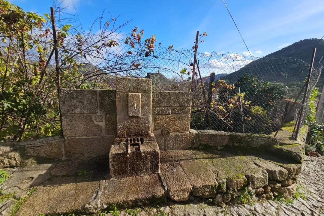 Photo of Others in Vila Nova de Foz Coa