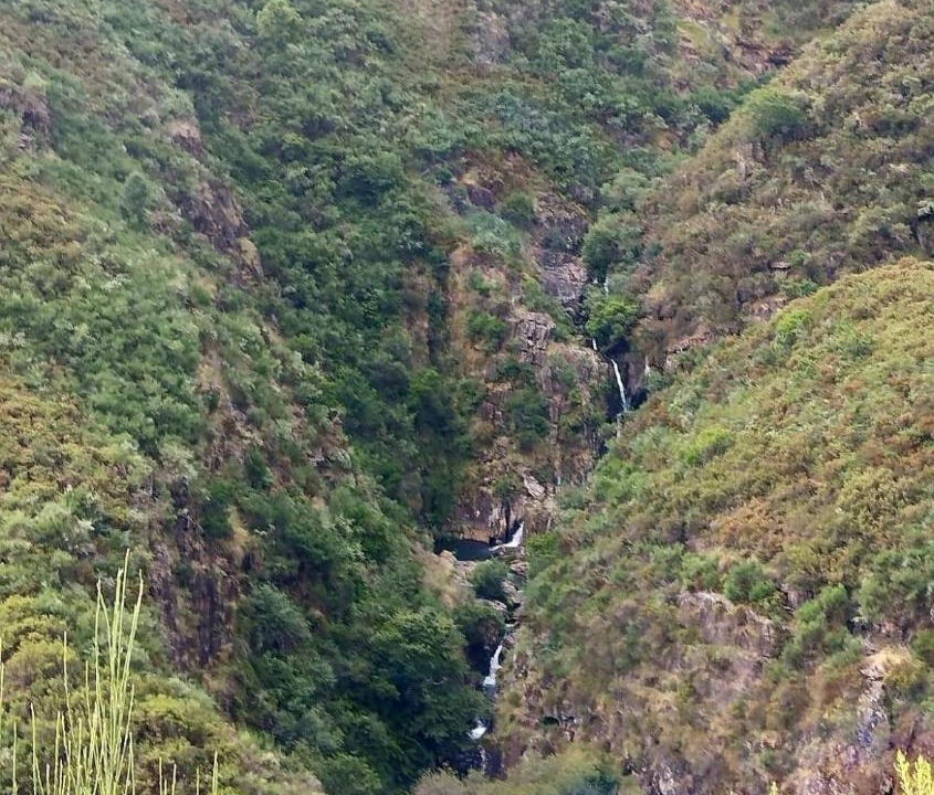 Photo of Others in Arouca