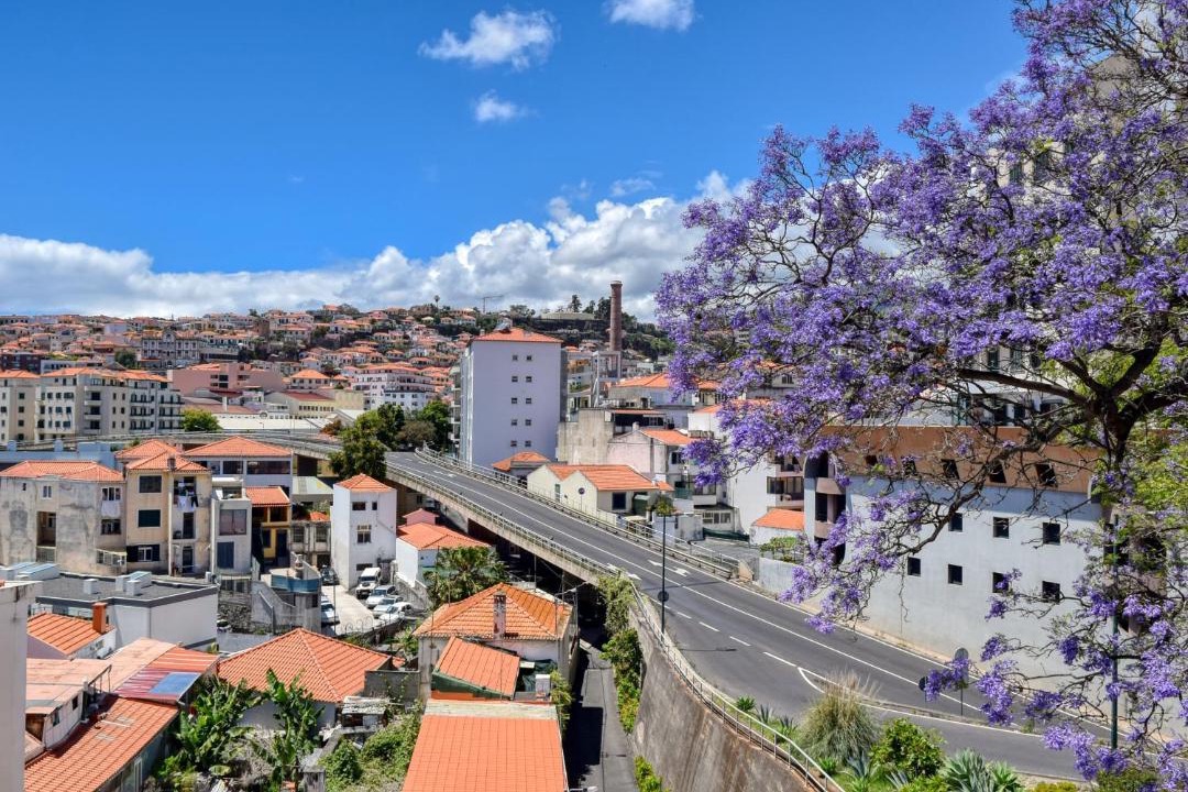 Photo of Others in Santa Luzia