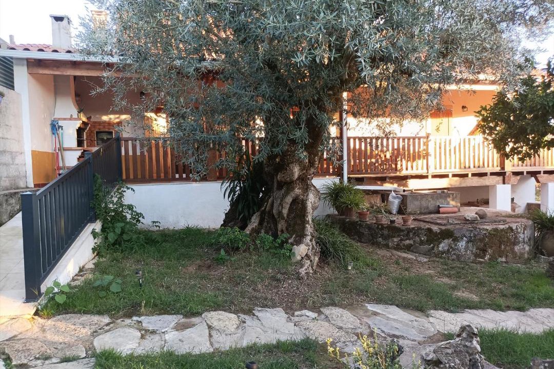 Photo of Others in Areias