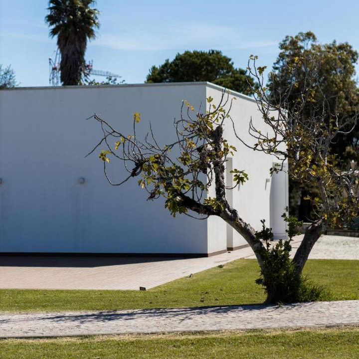 Photo of Others in Maiorca