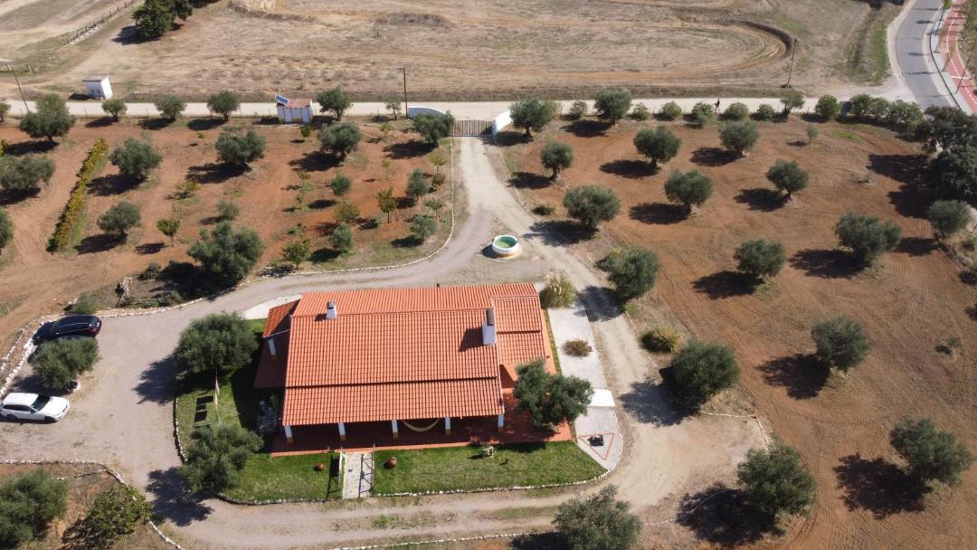 Photo of Others in Avis