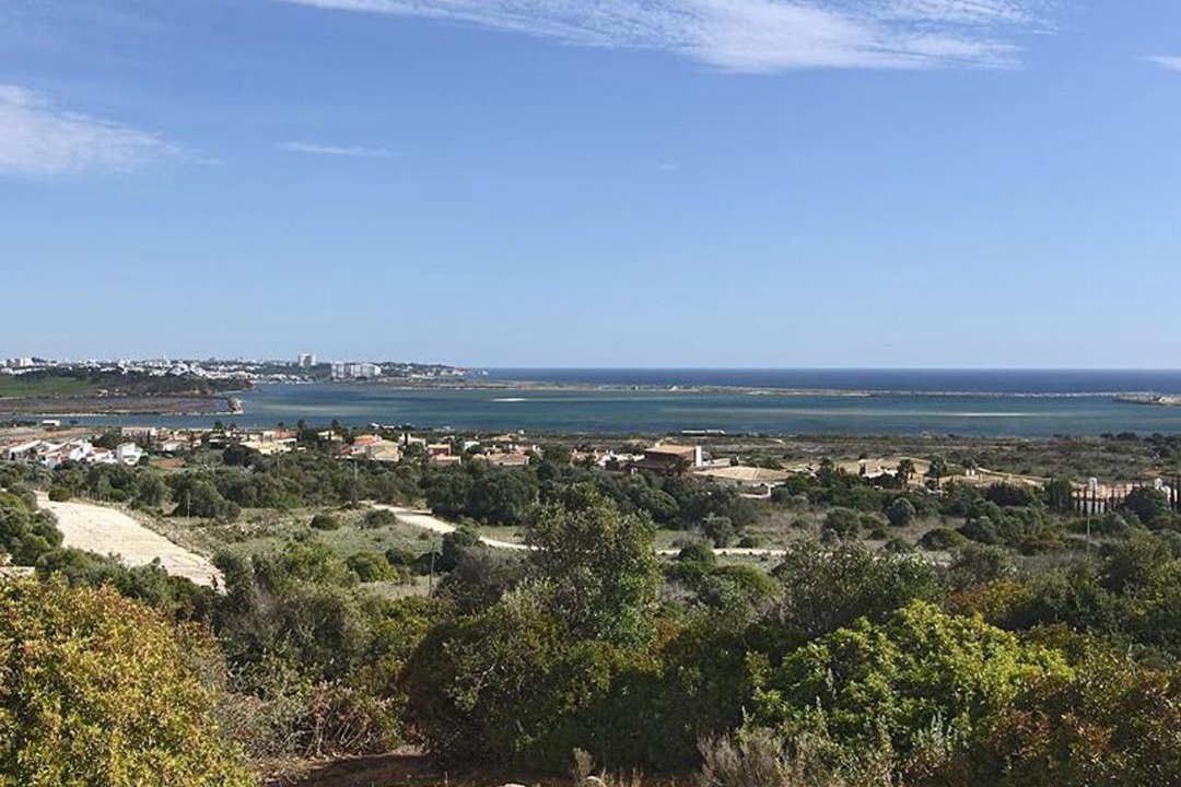 Photo of Others in Alfarrobeira