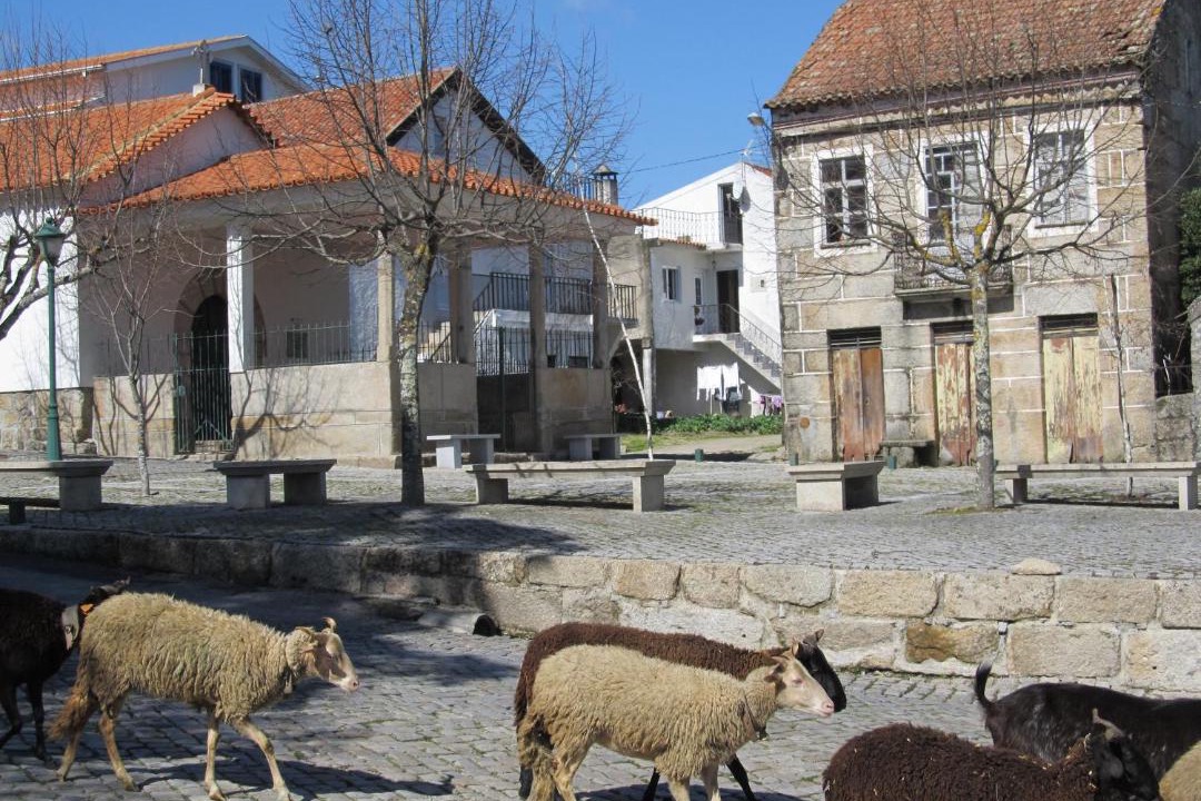 Photo of Others in Gouveia