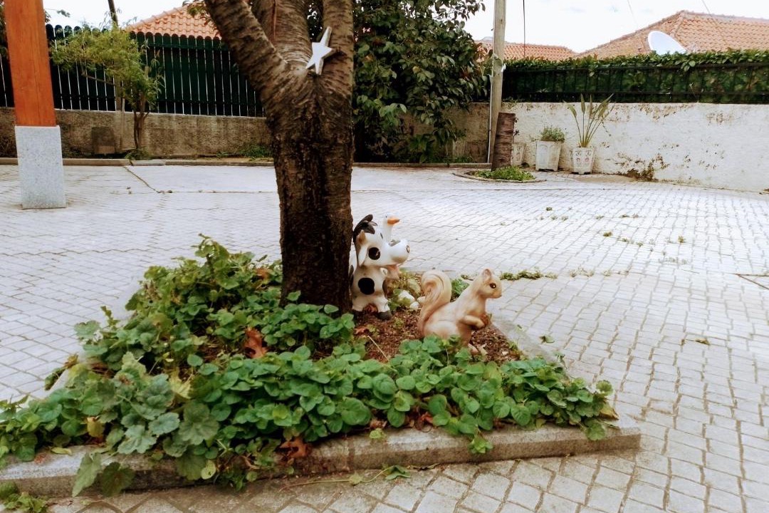 Photo of Others in Gouveia
