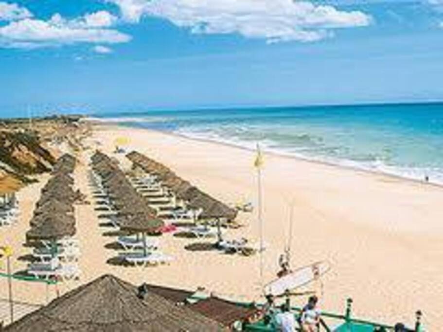 Photo of Others in Vale do Lobo