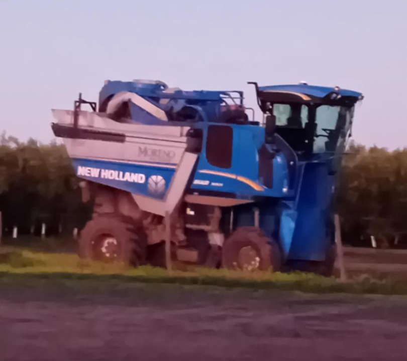 Photo of Others in Ferreira do Alentejo