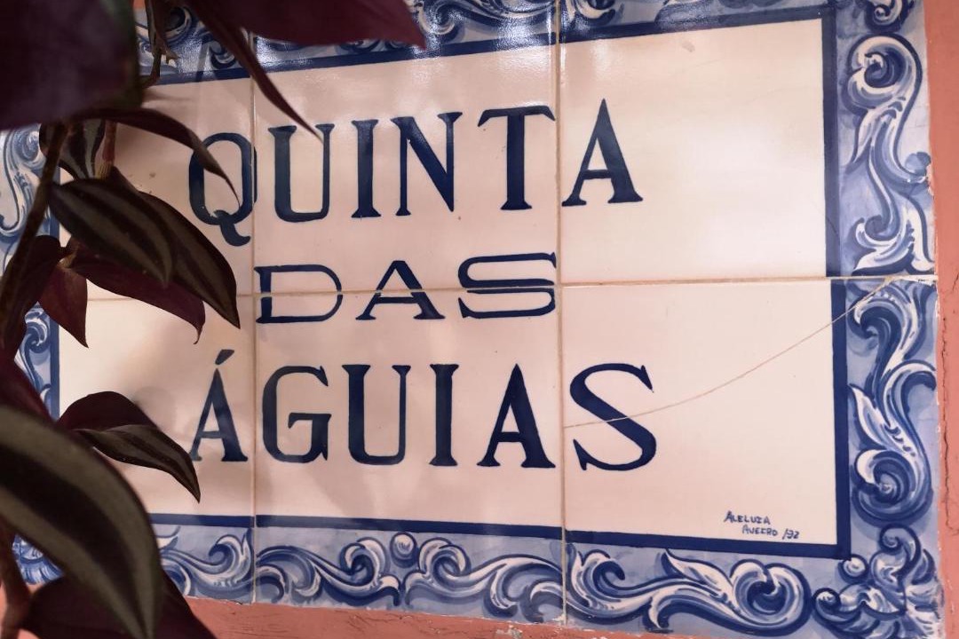 Photo of Others in Albergaria-a-Velha