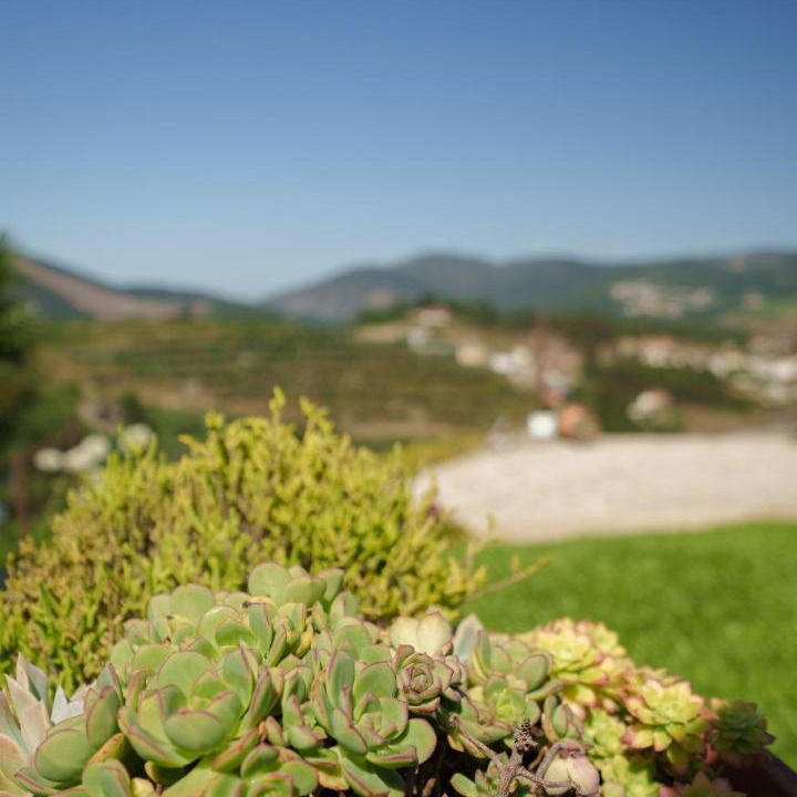 Photo of Others in Sobrado
