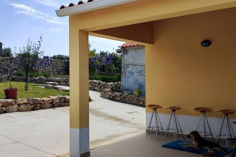 Photo of Others in Alcobaca