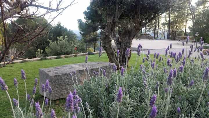 Photo of Others in Barracao