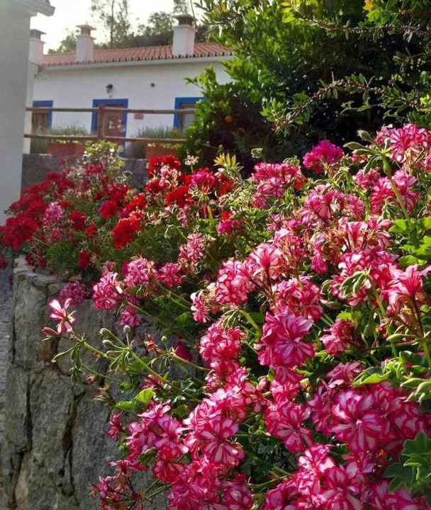 Photo of Others in Barracao