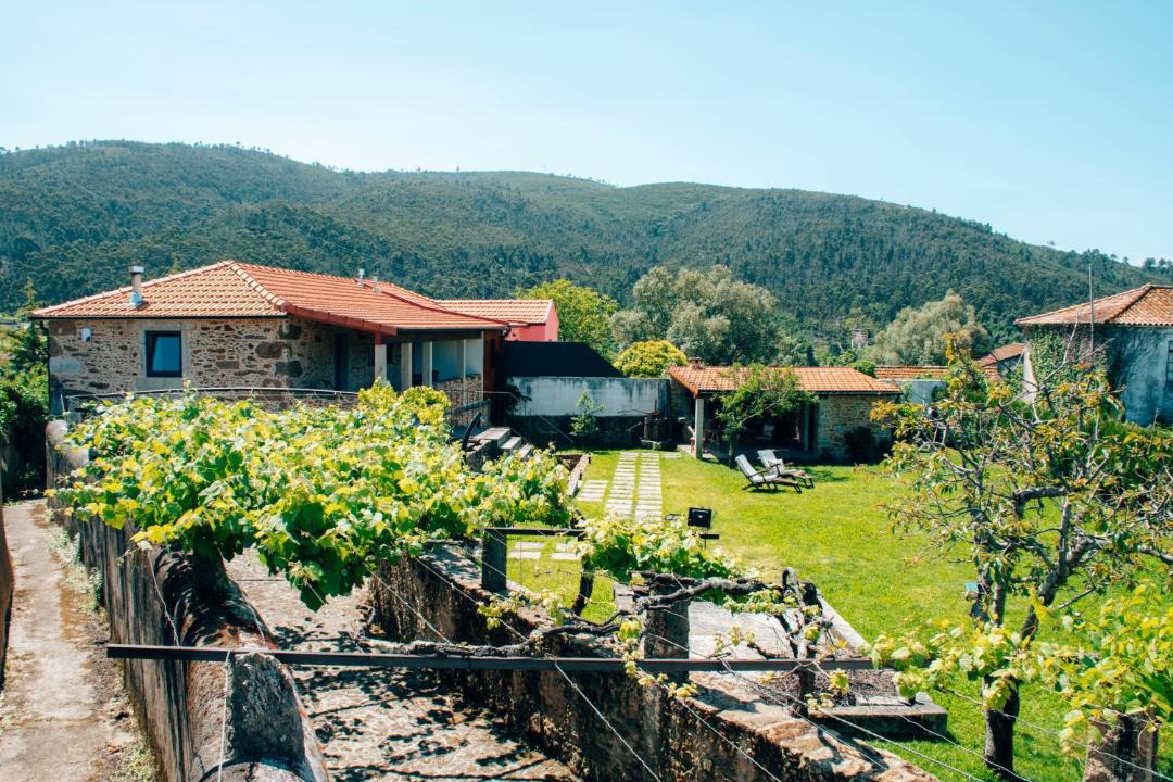 Photo of Others in Caminha
