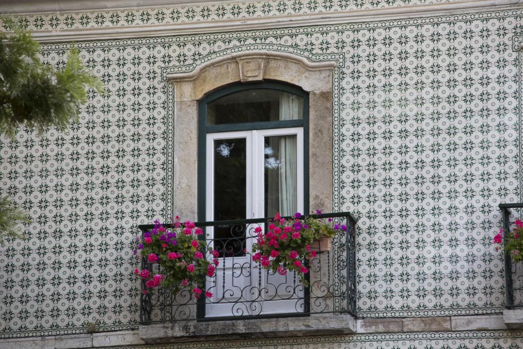 Photo of Others in Setubal