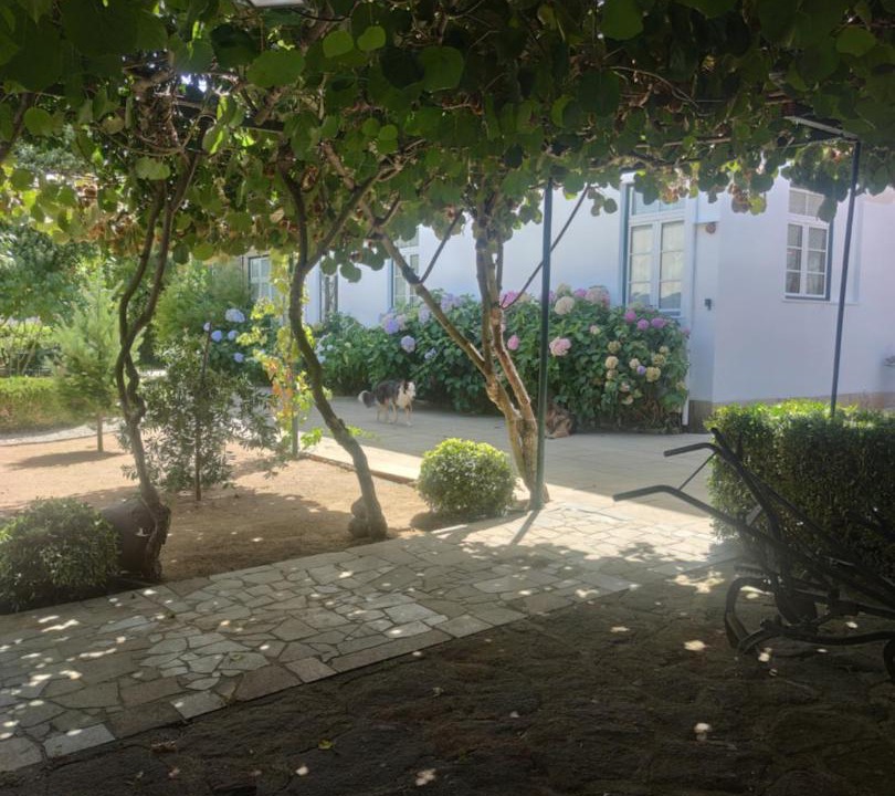 Photo of Others in Tarouca