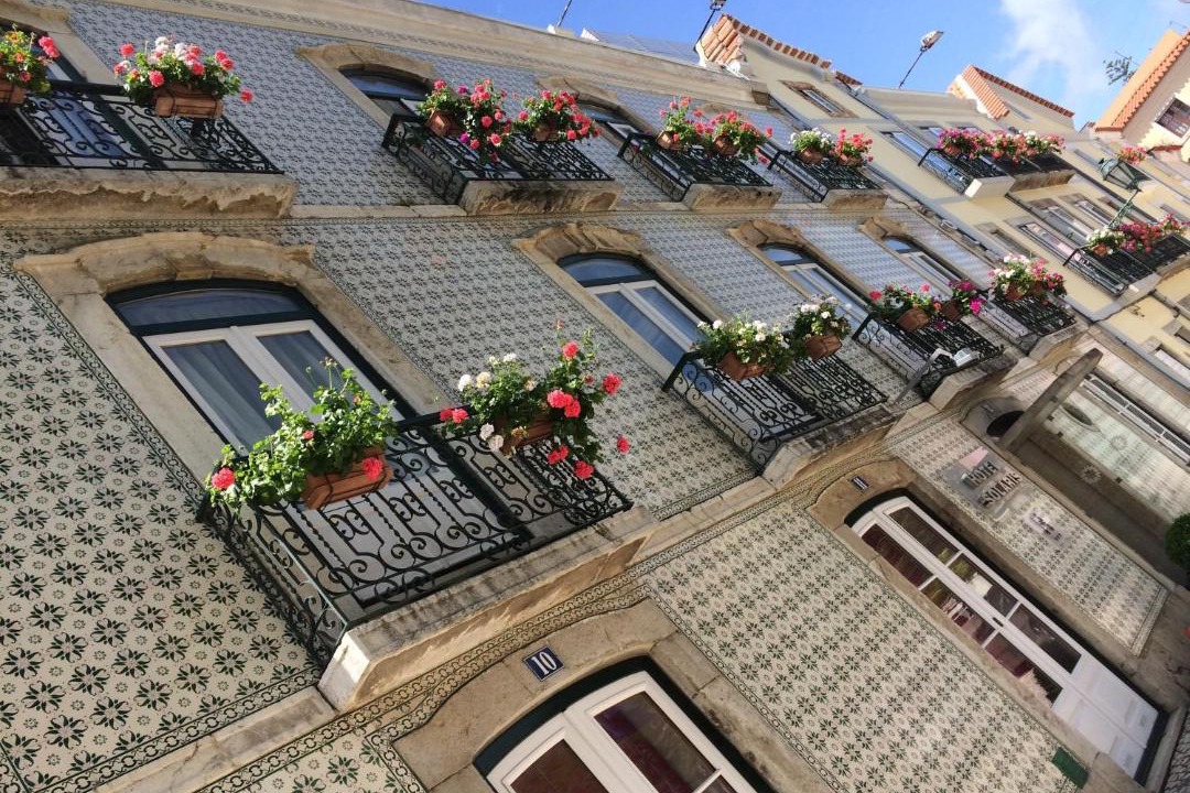 Photo of Others in Setubal