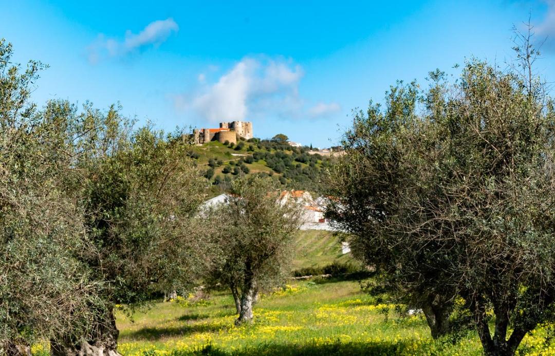 Photo of Others in Evoramonte