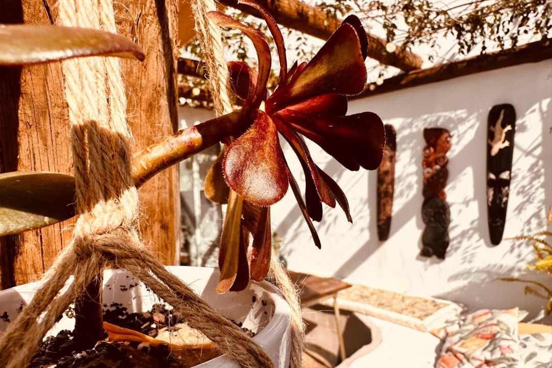 Photo of Others in Reguengos de Monsaraz