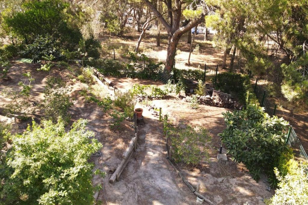 Photo of Others in Lagoa de Albufeira