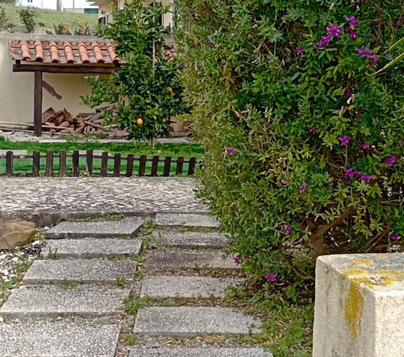 Photo of Others in Arruda dos Vinhos
