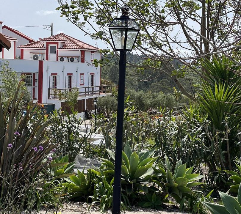 Photo of Others in Mafra