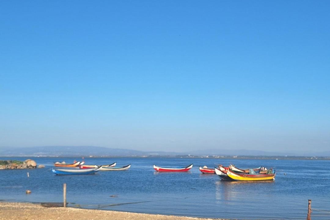 Photo of Others in Sao Jacinto