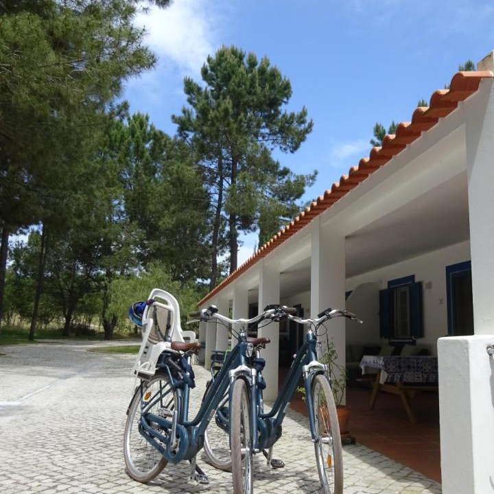 Photo of Others in Alcacer do Sal