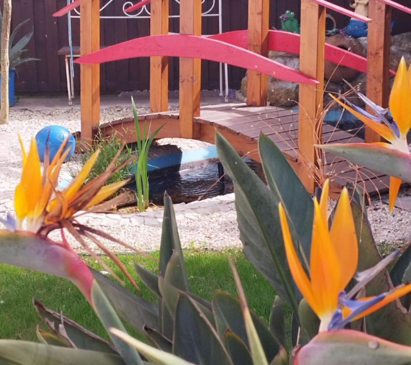 Photo of Others in Alcobaca