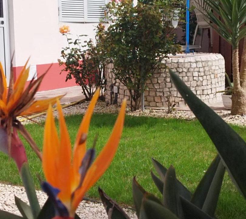 Photo of Others in Alcobaca