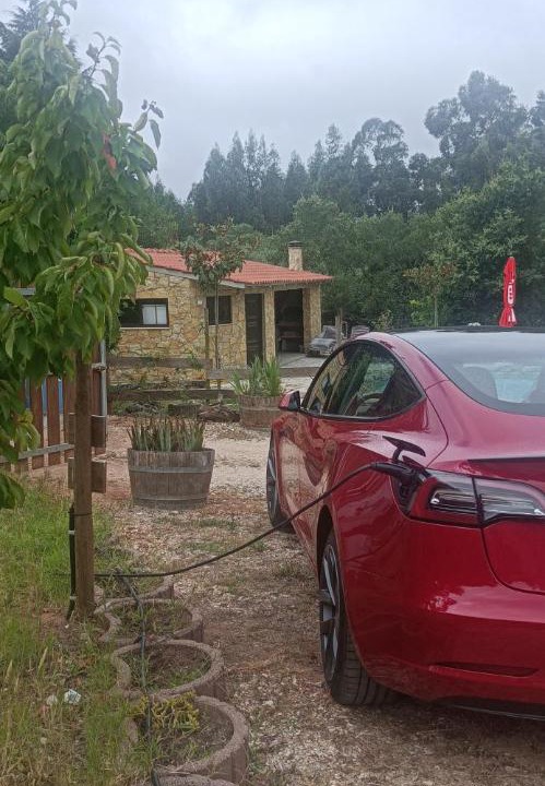 Photo of Others in Figueiro dos Vinhos