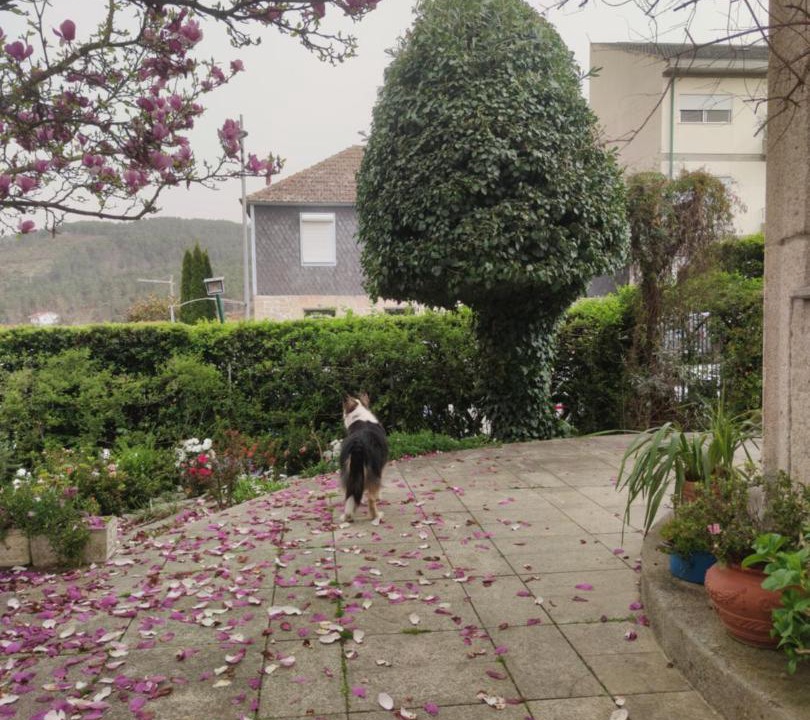 Photo of Others in Tarouca