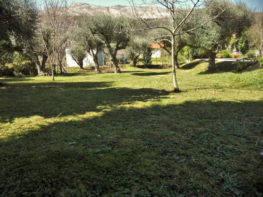 Photo of Others in Cossourado